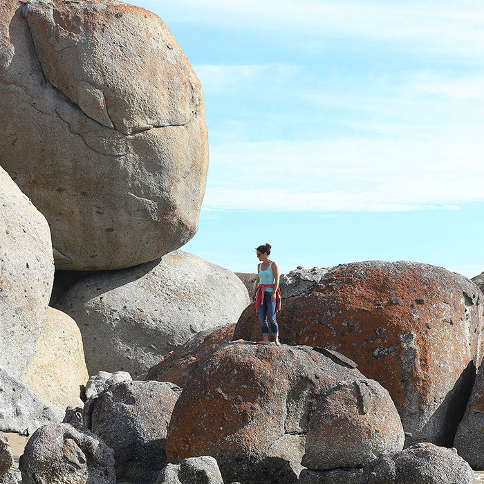 Foxy_Fox_Melbourne_Rocks