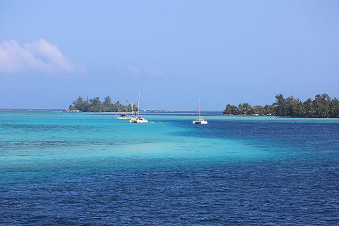 Foxy_Fox_Tahiti_BeautifulWater