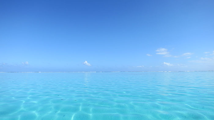 Foxy_Fox_Tahiti_Tropical_Water
